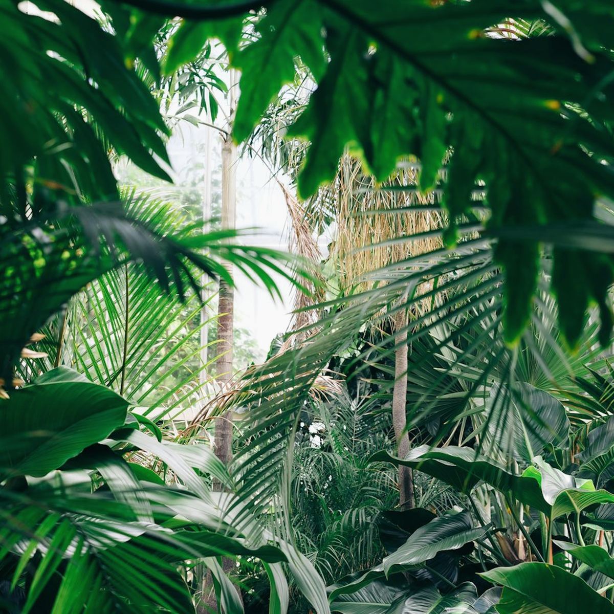 Sprout Plant Studio